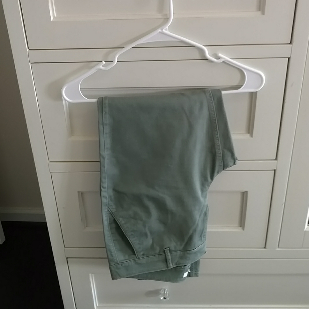 Loft style pants, sage green, Marisa, size 10